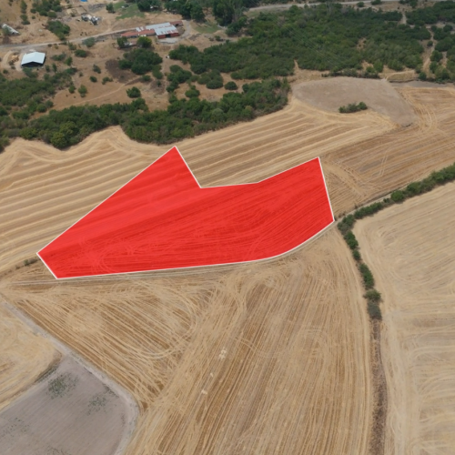 Kırklareli Babaeski büyükmandıra