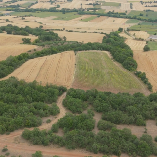 Kırklareli Babaeski Çavuşköy Proje 16