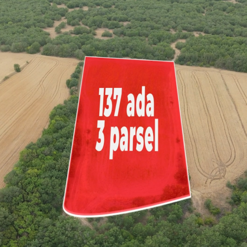 Kırklareli Babaeski Çavuşköy Proje 16