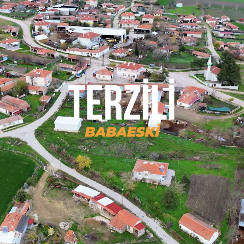 Kırklareli Babaeski Terzili Mahallesi 8.502 m²