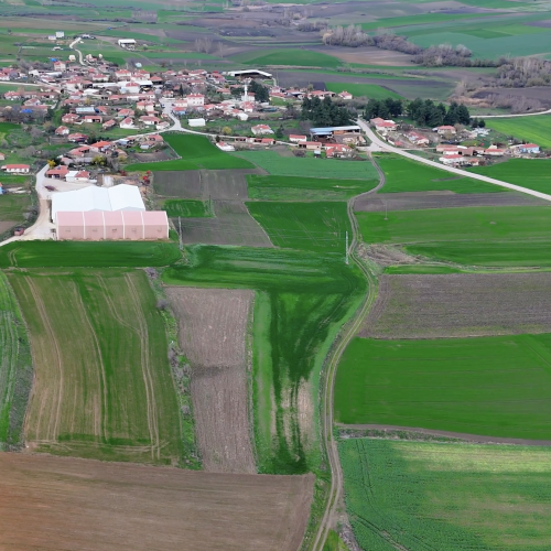Kırklareli Babaeski Terzili Mahallesi 8.502 m²