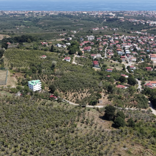 Sakarya Kocaali 3962 m² Tek Tapu
