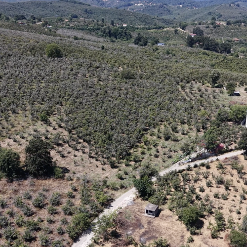 Sakarya Kocaali 613 m² Tek Tapu