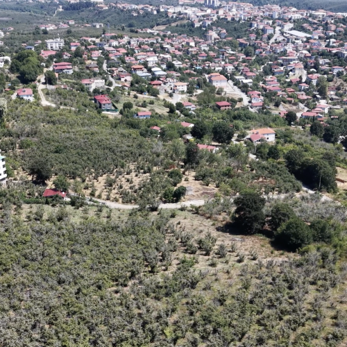 Sakarya Kocaali 613 m² Tek Tapu